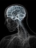 Міфи та факти про роботу людського мозку
